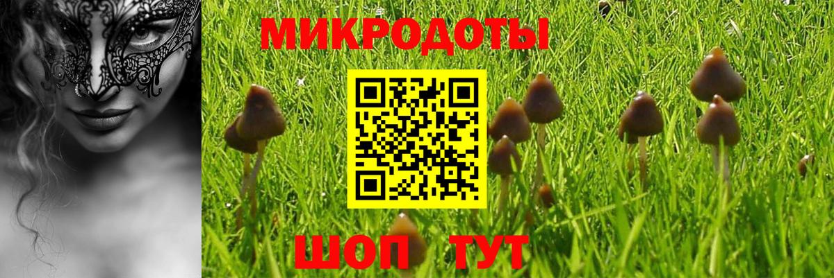 Галлюциногенные грибы MAGIC MUSHROOMS  Галлюциногенные грибы GOLDEN TEACHER  Оренбург  Вход с VPN 
