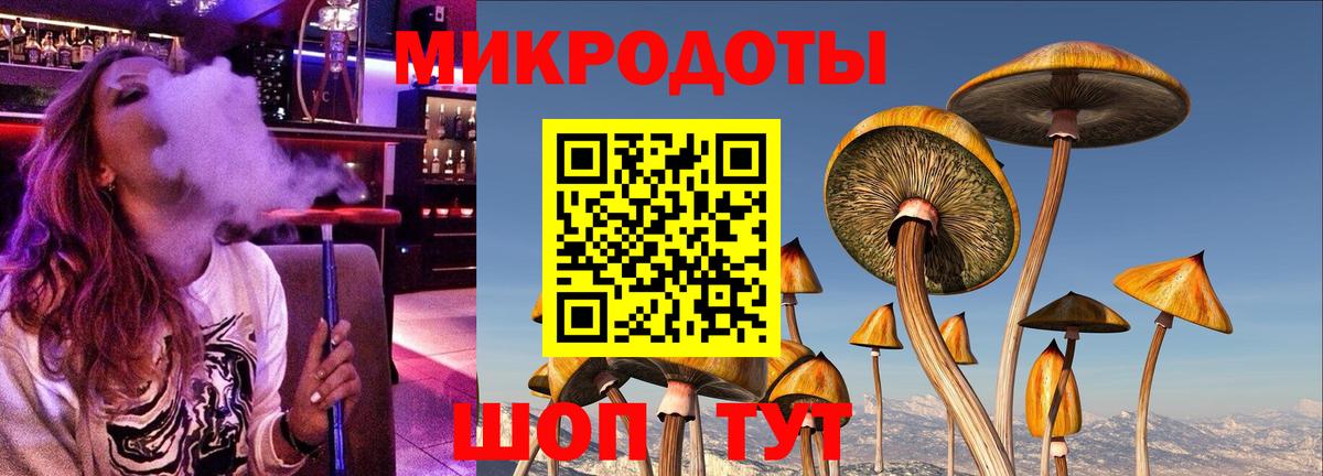 Галлюциногенные грибы Psilocybine cubensis Оренбург